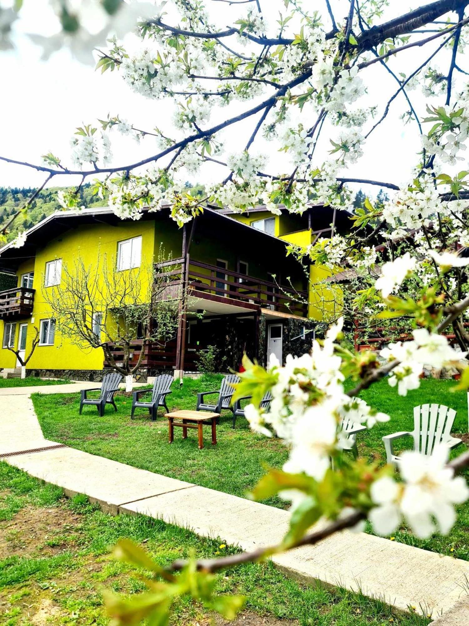 Vila Giulia Voineasa Exterior foto